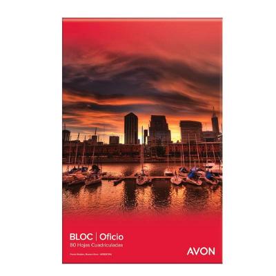 BLOCK AVON 2 PERF. OFICIO X 80 HJS. CUADRICULADO 