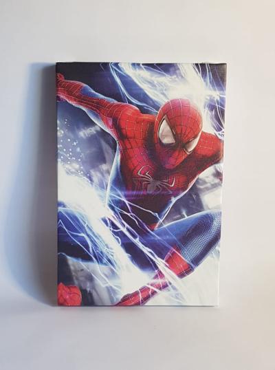 CANVAS HOMBRE ARAÑA 20CM X 30CM