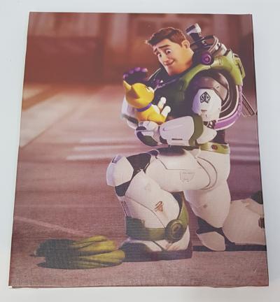CANVAS TOY STORY 25CM X 30CM