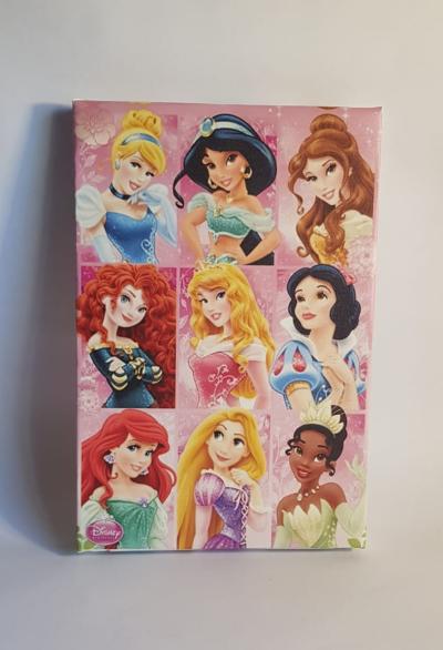 CANVAS PRINCESAS 20CM X 30CM