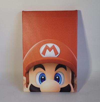 CANVAS PERSONAJE MARIO BROSS 20CM X 30CM